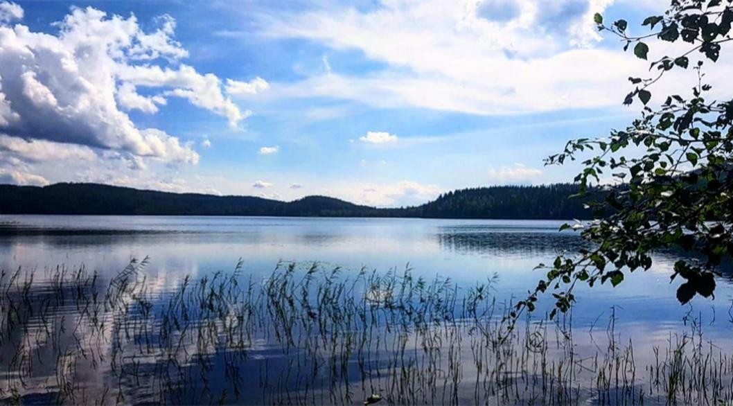 Villa Moni Lungsjon Bagian luar foto